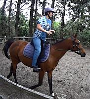 outsaddle2 zpszgcafmbv