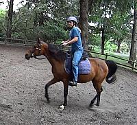 outsaddle5 zpsjikkoojq