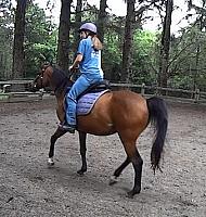outsaddle7 zpsoyi3evzn