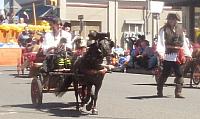 parade2016 zpsa9fqb2yl