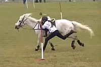 pony canter