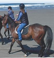 riding position1 zpsmedjapnd