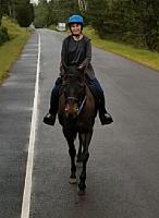 roadhero